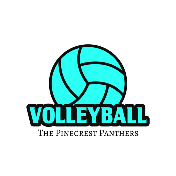 Volleyball 37 Miniatura